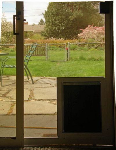 This is the view looking out the door with the gray Pet Mesh in it. It still has a very good view through it.