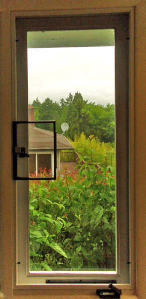 This is an inside view of a plungered screen with a hinged wicket door on a casement window that swings out. This has an aluminum wicket which will last longer than the plastic wicket.